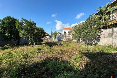 Land in Denpasar, Bali (11465) 5