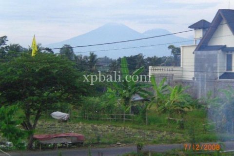 3 bedrooms Villa in Tampaksiring, Gianyar, Bali (5996) 12