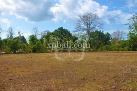 13700m2 Land in South Kuta, Badung, Bali (6001) 2