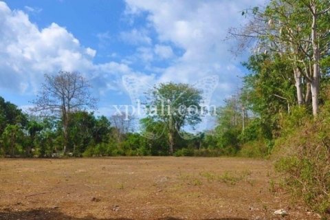 Tanah kavling 13700m2 di Kuta Selatan, Badung, Bali (6001)