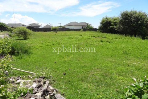 2400m2 Land in South Kuta, Badung, Bali (6000) 13