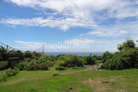 2400m2 Land in South Kuta, Badung, Bali (6000) 10