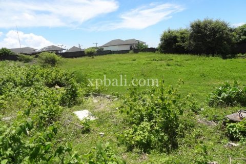 2400m2 Land in South Kuta, Badung, Bali (6000) 8