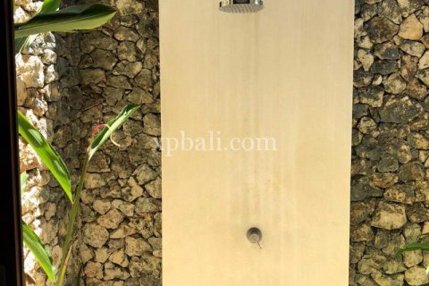 2 bedrooms Villa in South Kuta, Badung, Bali (5998) 2