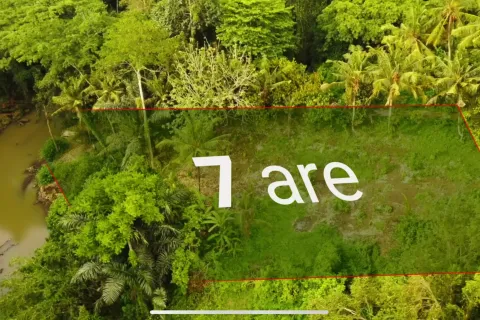 Land in Tabanan, Bali (11003) 5