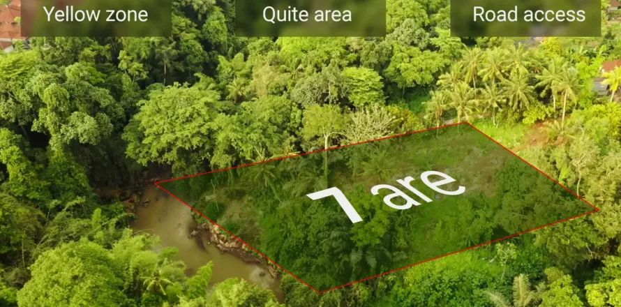 Land in Tabanan, Bali (11003)