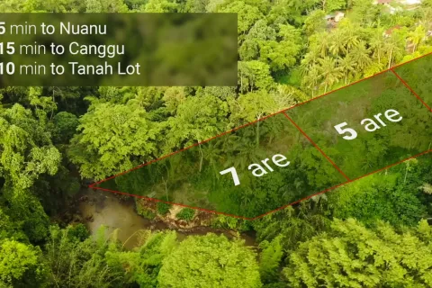 Land in Tabanan, Bali (11003) 4