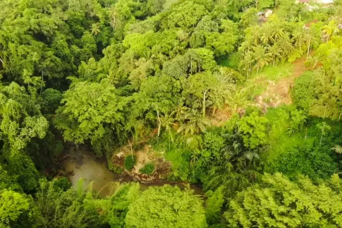 Land in Tabanan, Bali (11003) 3
