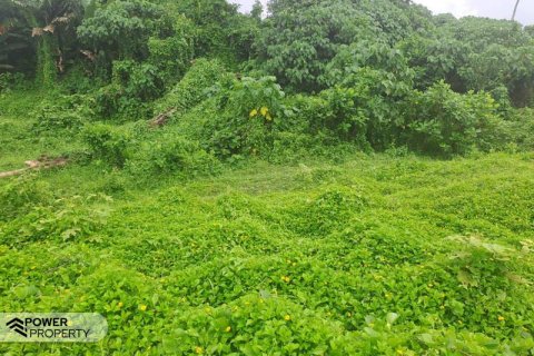 Tanah kavling 587m2 di Tabanan, Bali (9295) 13