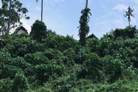 Tanah kavling 587m2 di Tabanan, Bali (9295) 3
