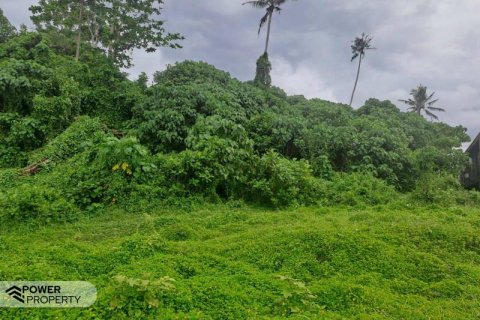 Tanah kavling 587m2 di Tabanan, Bali (9295) 18