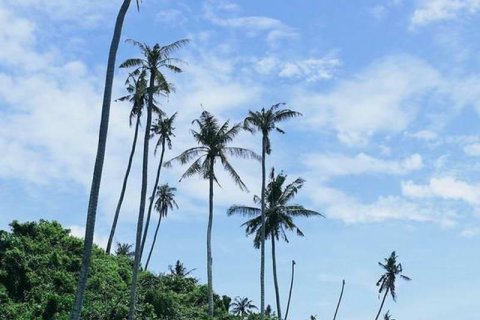 Tanah kavling 587m2 di Tabanan, Bali (9295) 6