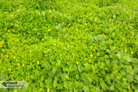 Tanah kavling 587m2 di Tabanan, Bali (9295) 12