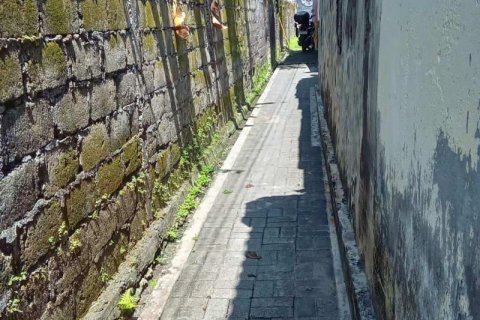 345m2 Land in Seminyak, Badung, Bali (9294) 7
