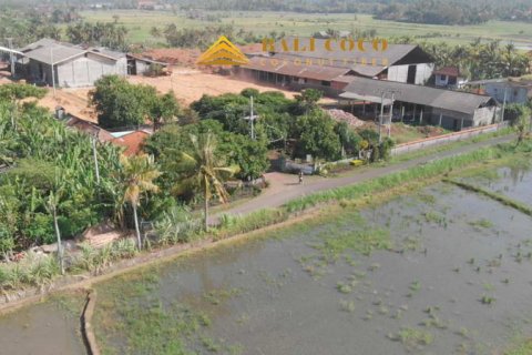 7 bedrooms Land in Negara, Jembrana, Bali (9296) 5