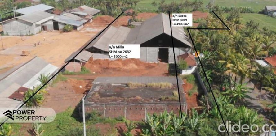 7 bedrooms Land in Negara, Jembrana, Bali (9296)