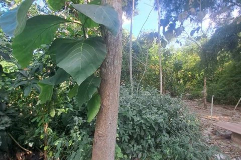 Tanah kavling 150m2 di Kuta Selatan, Badung, Bali (10701) 4