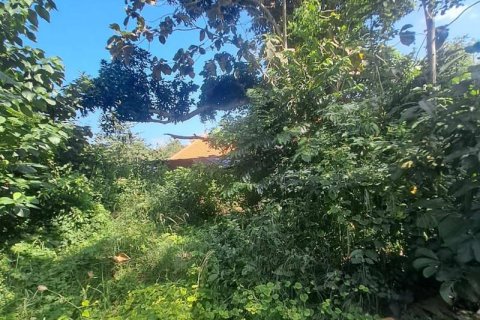 Tanah kavling 150m2 di Kuta Selatan, Badung, Bali (10701) 15