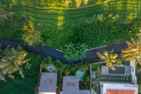 2 bedrooms Villa in Ubud, Gianyar, Bali (10799) 2
