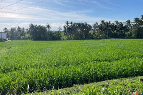 Land in Tabanan, Bali (12136) 4