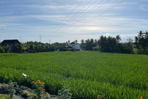 Tanah kavling di Tabanan, Bali (12136)