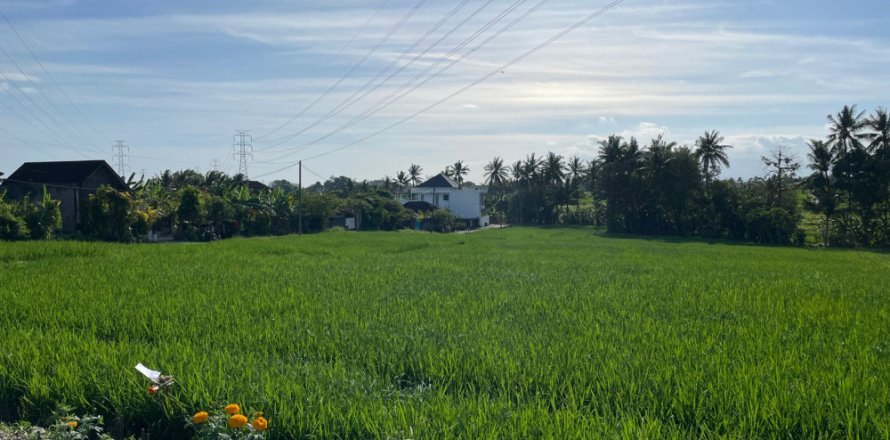 Land in Tabanan, Bali (12136)