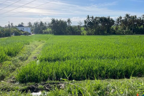 Land in Tabanan, Bali (12136) 5