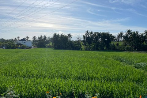 Land in Tabanan, Bali (12136) 2