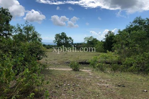 21000m2 Land in Jimbaran, Badung, Bali (801) 22