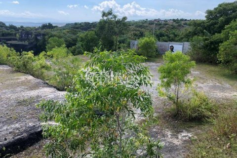 21000m2 Land in Jimbaran, Badung, Bali (801) 5