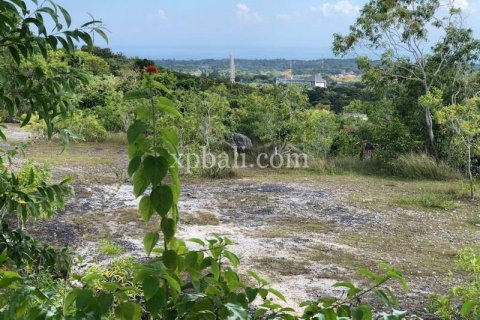 21000m2 Land in Jimbaran, Badung, Bali (801) 24