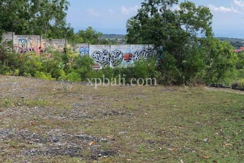 21000m2 Land in Jimbaran, Badung, Bali (801) 16