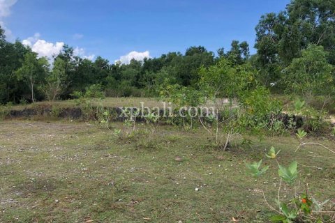 21000m2 Land in Jimbaran, Badung, Bali (801) 7