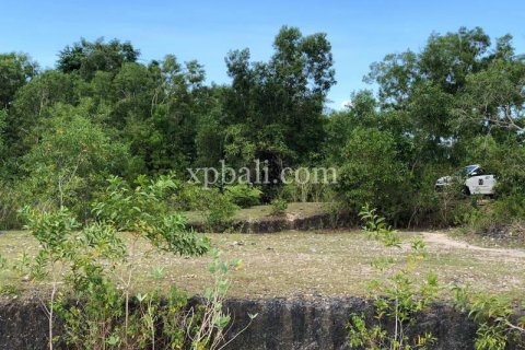 21000m2 Land in Jimbaran, Badung, Bali (801) 19