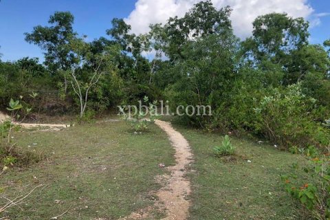 21000m2 Land in Jimbaran, Badung, Bali (801) 9