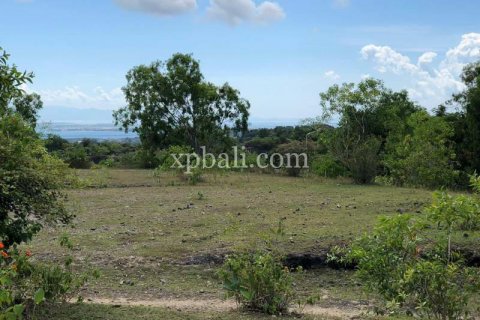 21000m2 Land in Jimbaran, Badung, Bali (801) 3