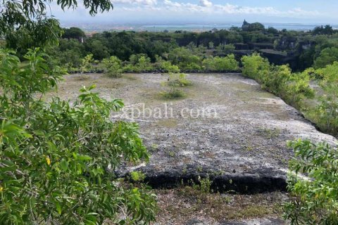 21000m2 Land in Jimbaran, Badung, Bali (801) 15