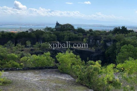 21000m2 Land in Jimbaran, Badung, Bali (801) 11