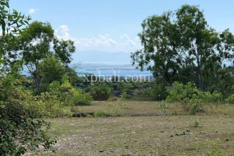 21000m2 Land in Jimbaran, Badung, Bali (801) 27