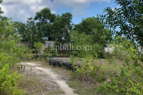21000m2 Land in Jimbaran, Badung, Bali (801) 17