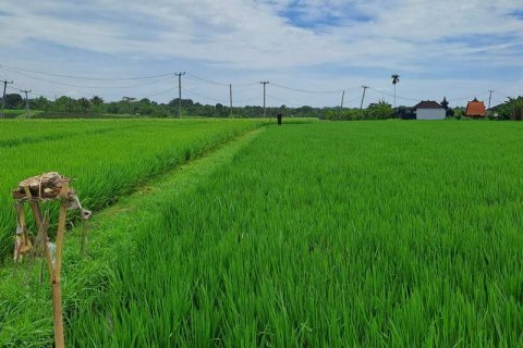 2800m2 Land in Tabanan, Bali (711) 11