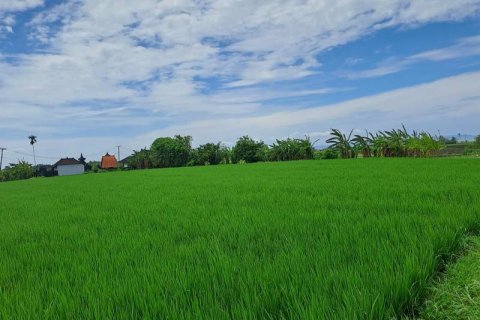 2800m2 Land in Tabanan, Bali (711) 10