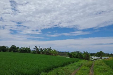 2800m2 Land in Tabanan, Bali (711) 6