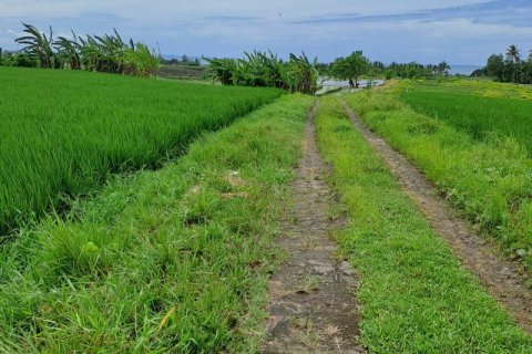 2800m2 Land in Tabanan, Bali (711) 14