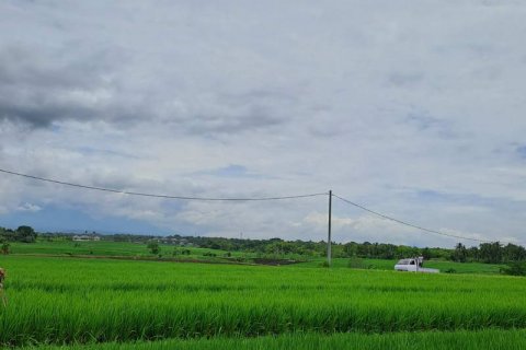 2800m2 Land in Tabanan, Bali (711) 5