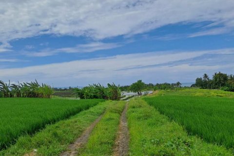 2800m2 Land in Tabanan, Bali (711) 8