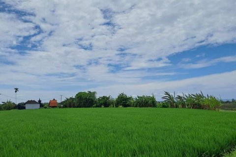 2800m2 Land in Tabanan, Bali (711) 3