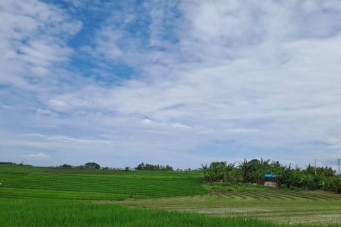 2800m2 Land in Tabanan, Bali (711) 2