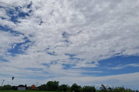2800m2 Land in Tabanan, Bali (711) 9