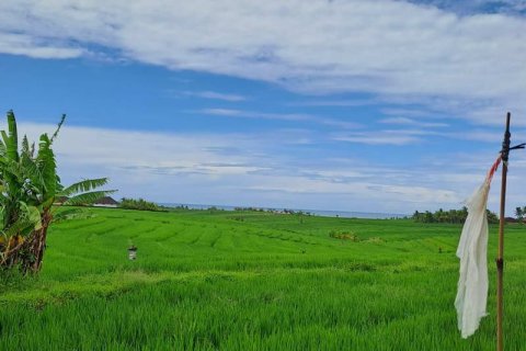 2800m2 Land in Tabanan, Bali (711) 15